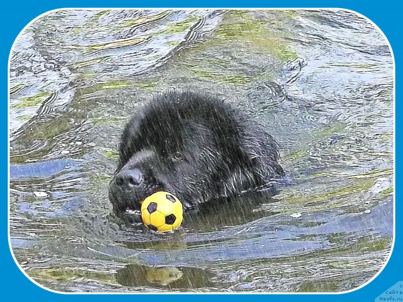 Фотография № 241663