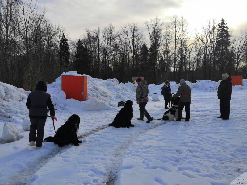 Фотография № 241666