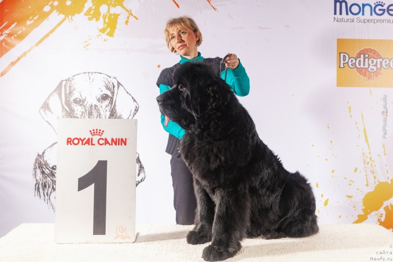 Фотография № 241668