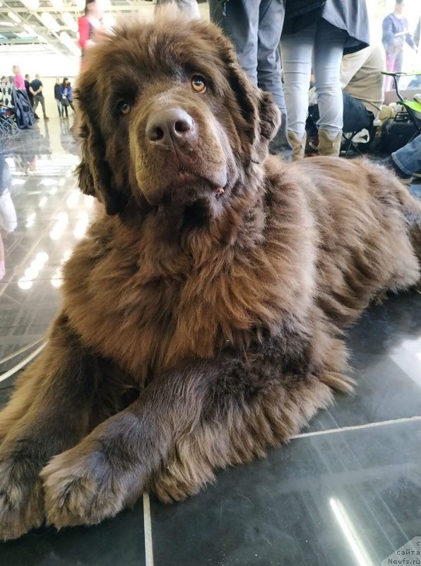 Фотография № 241670