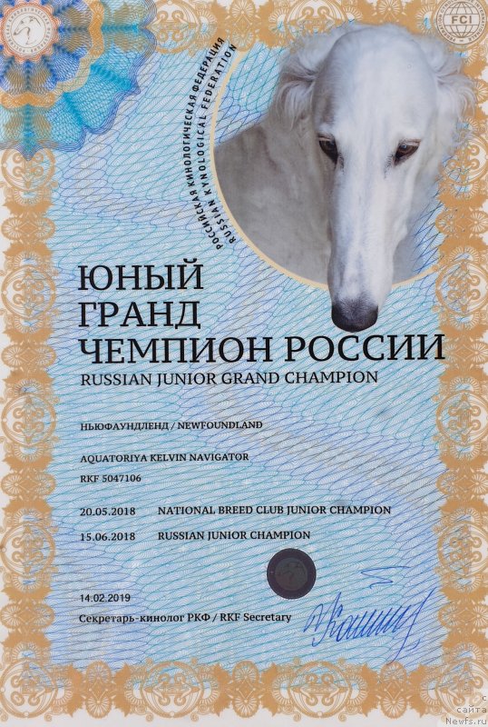 Фото: ньюфаундленд Акватория Келвин Навигатор (Aquatoriya Kelvin Navigator)