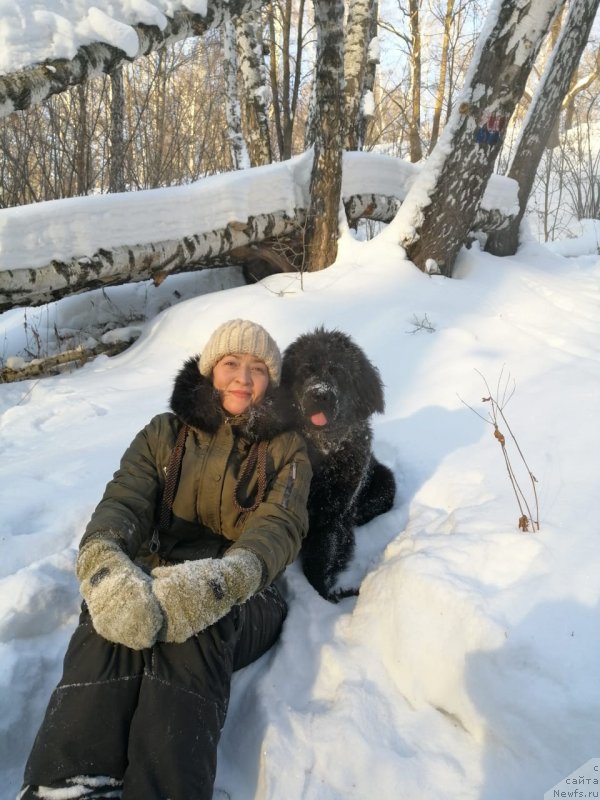 Фото: ньюфаундленд Ясмина Чарующая Принцесса