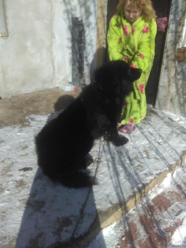 Фото: 2019.02.19=ДОН