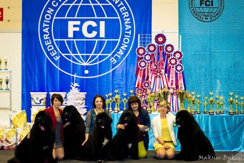 Фото: Светлана Васильчук