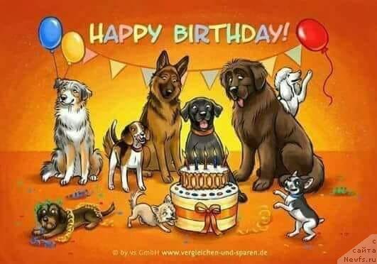 Фотография № 241685