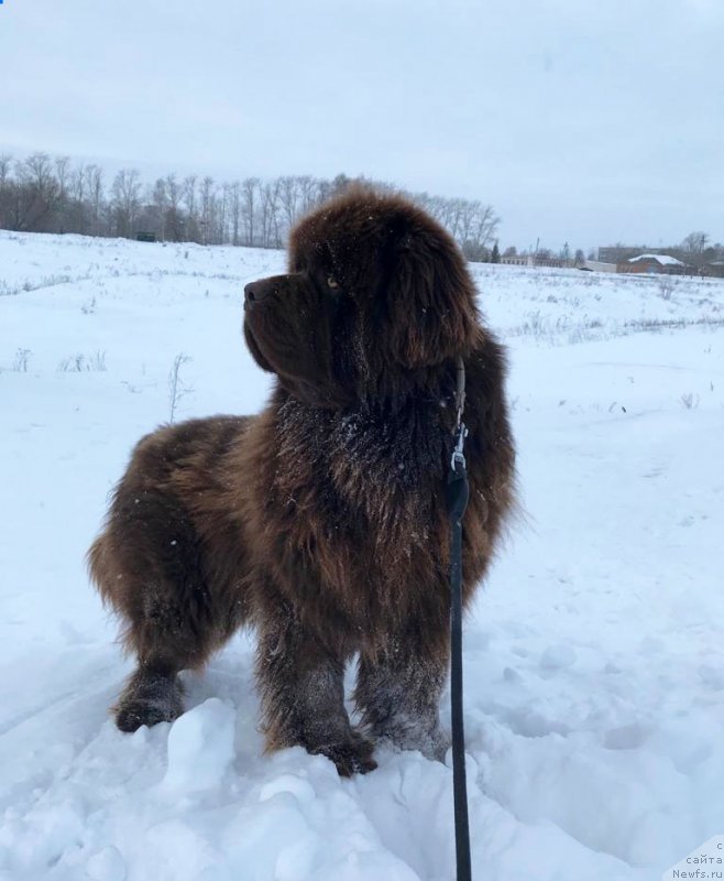 Фотография № 241691