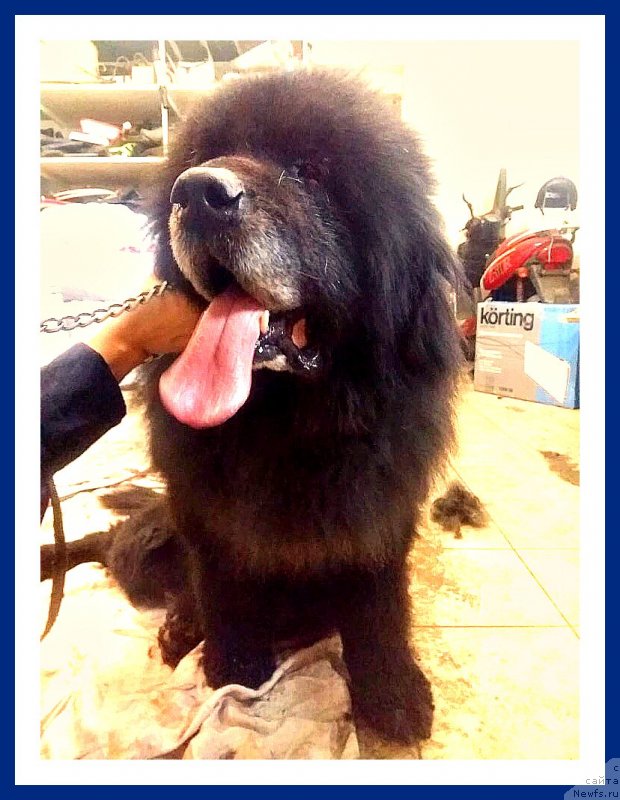 Фотография № 241704