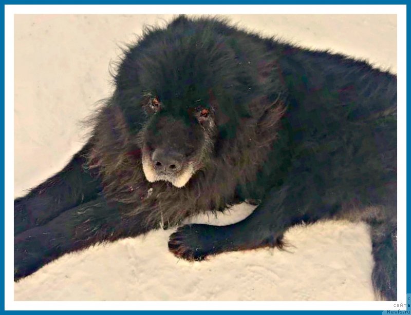 Фото: Жора-Лютик