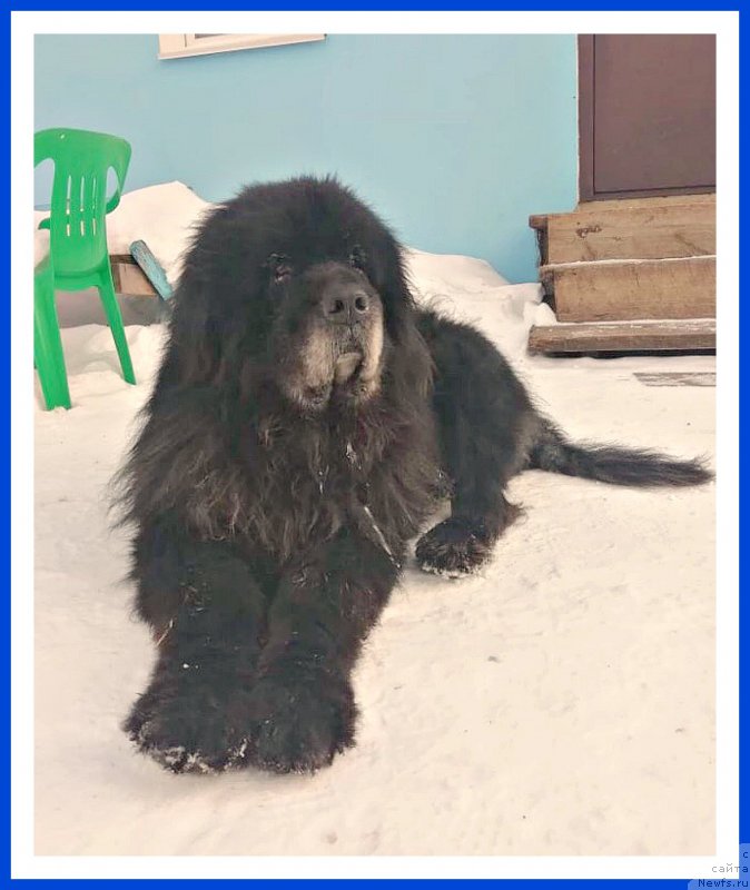 Фотография № 241707