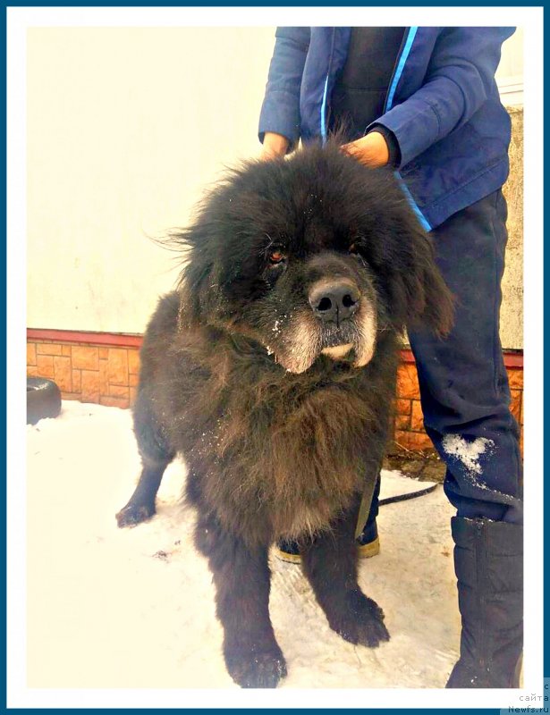 Фотография № 241708