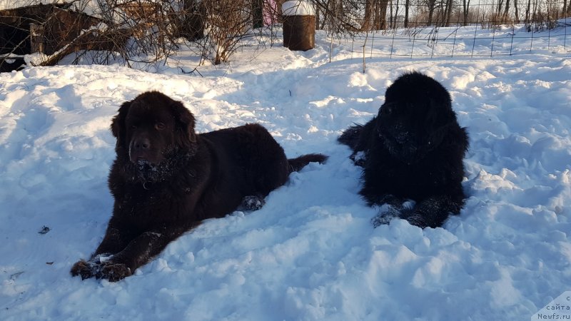 Фото: Ольга Пантюхина