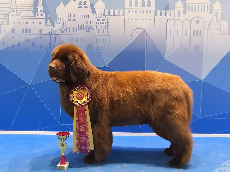 Фотография № 241710