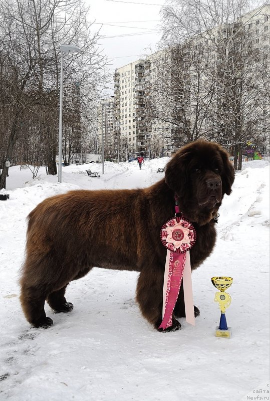 Фотография № 241711