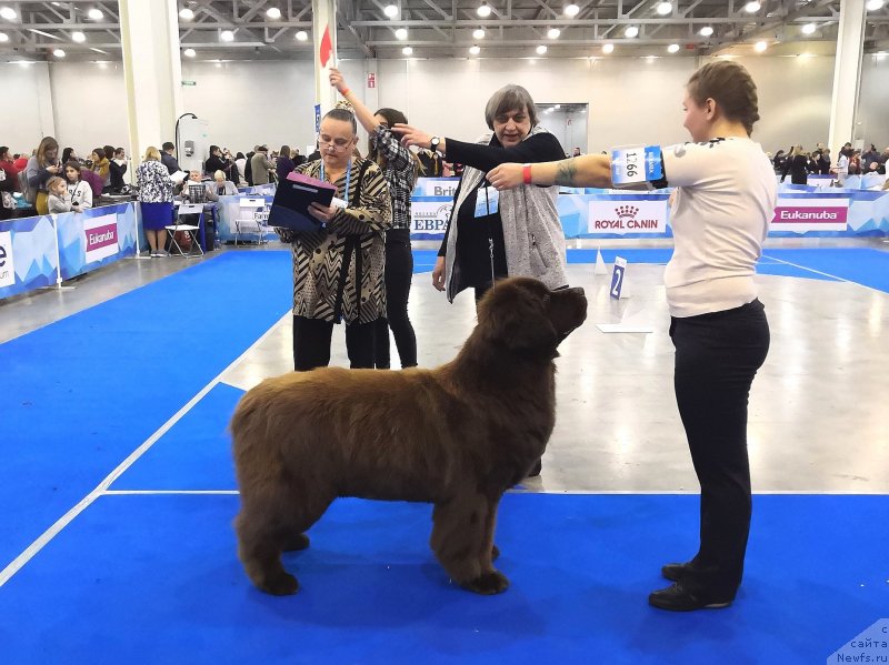 Фотография № 241712