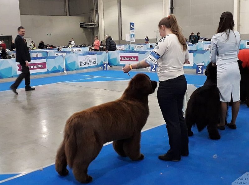 Фотография № 241714