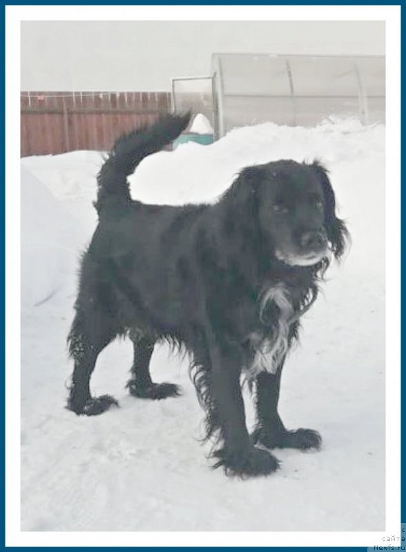 Фотография № 241716