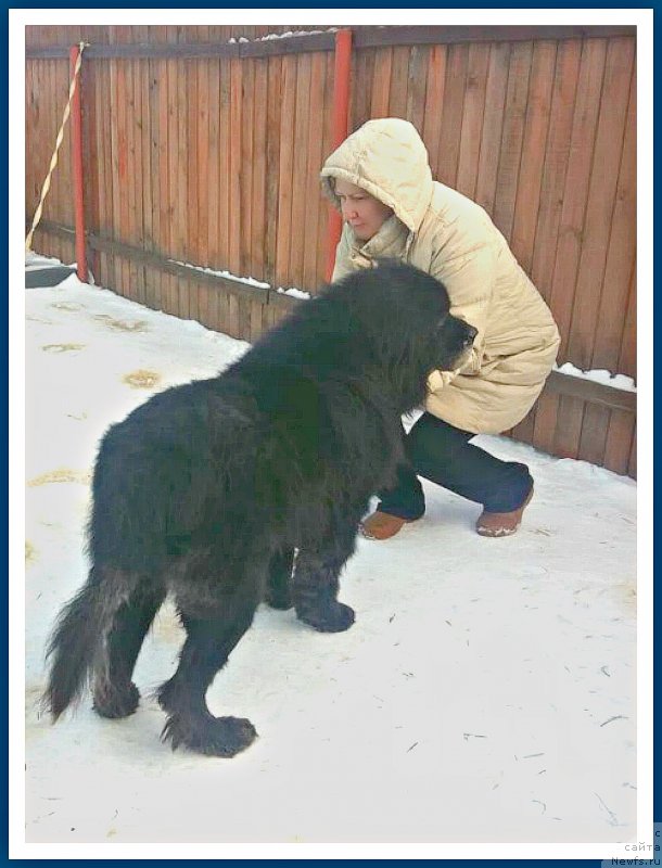 Фотография № 241717