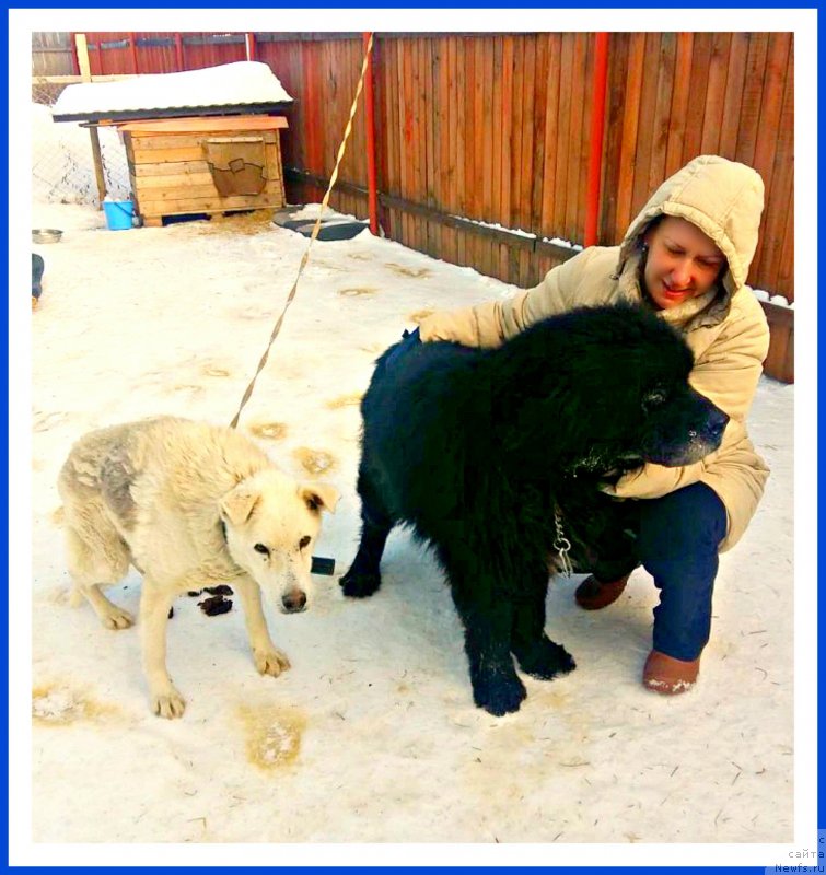 Фотография № 241719