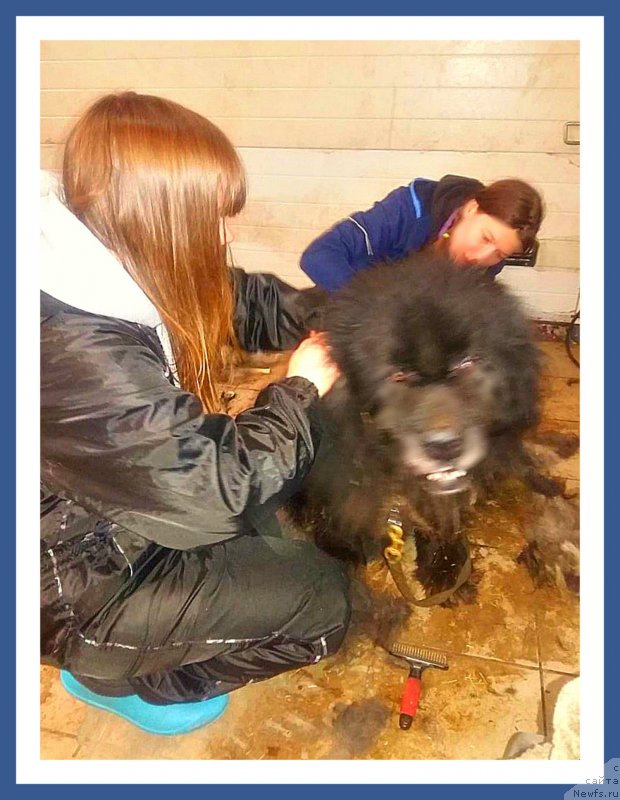 Фотография № 241720