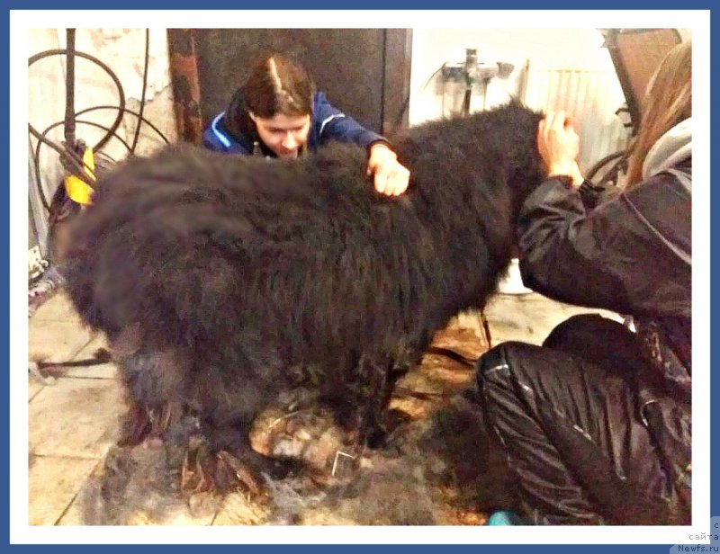 Фотография № 241721