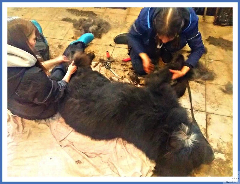 Фотография № 241722