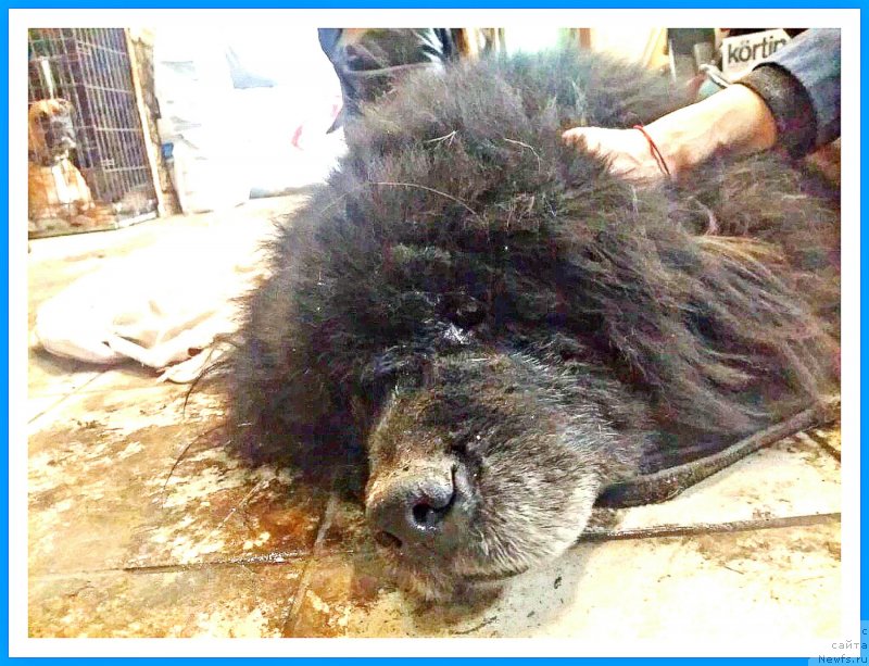 Фотография № 241723