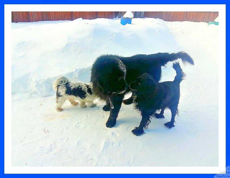 Фотография № 241724