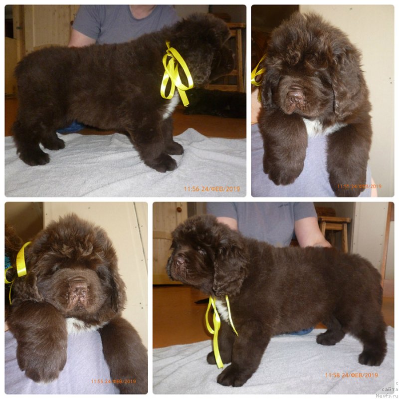 Фотография № 241738