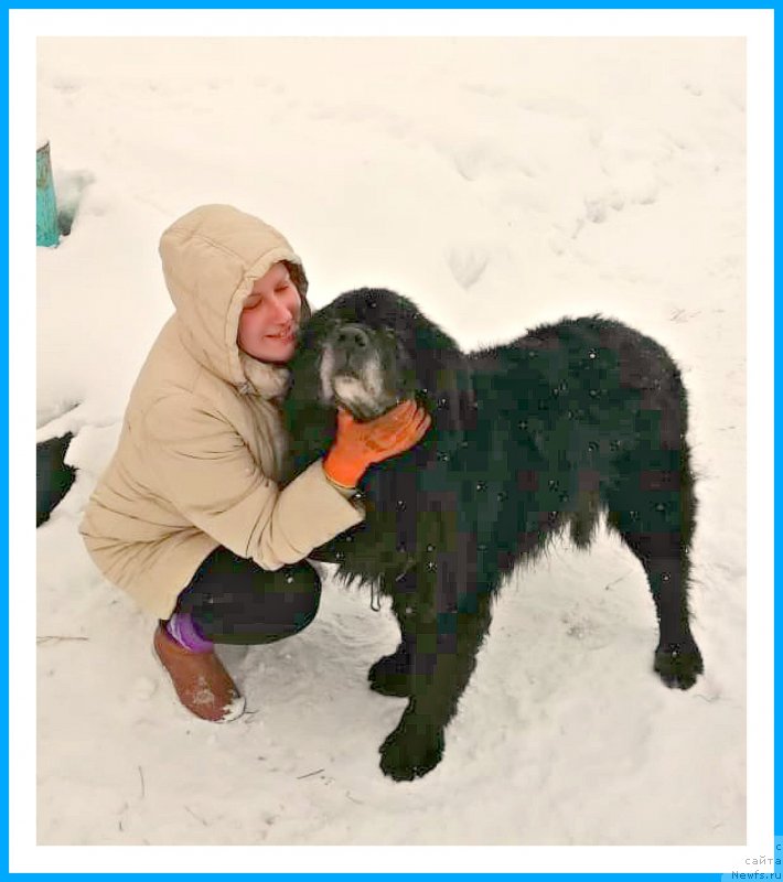 Фотография № 241781