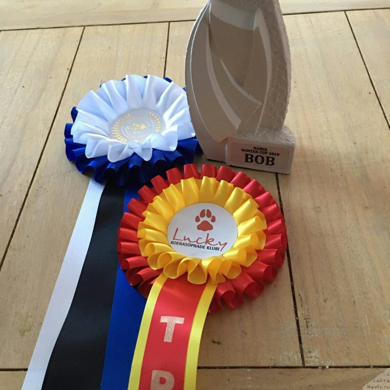 Фотография № 241794