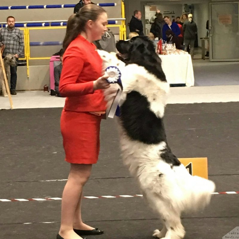 Фотография № 241795