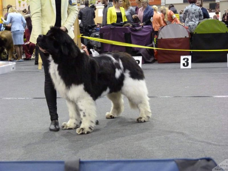 Фотография № 241797