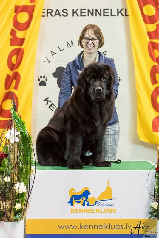 Фотография № 241815