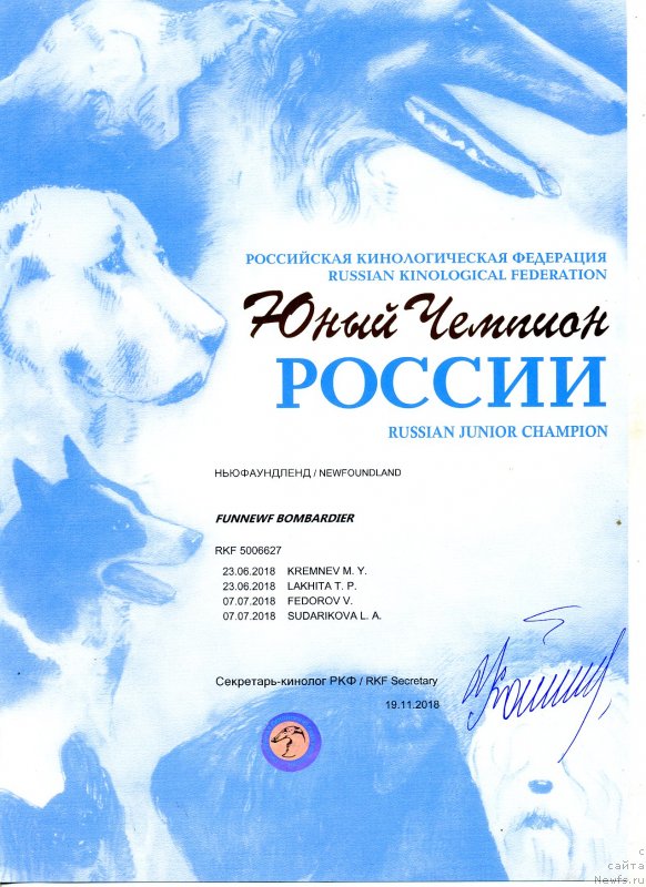 Фото: ньюфаундленд Фанньюф Бомбардир (Funnewf Bombardier)