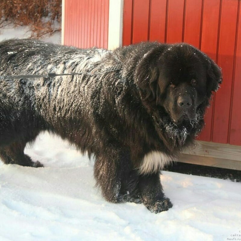 Фотография № 241828