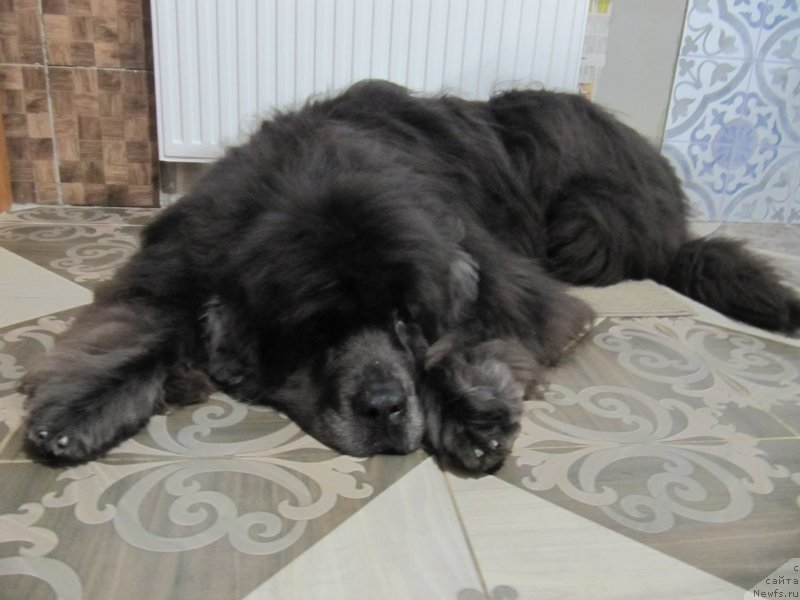 Фотография № 241853