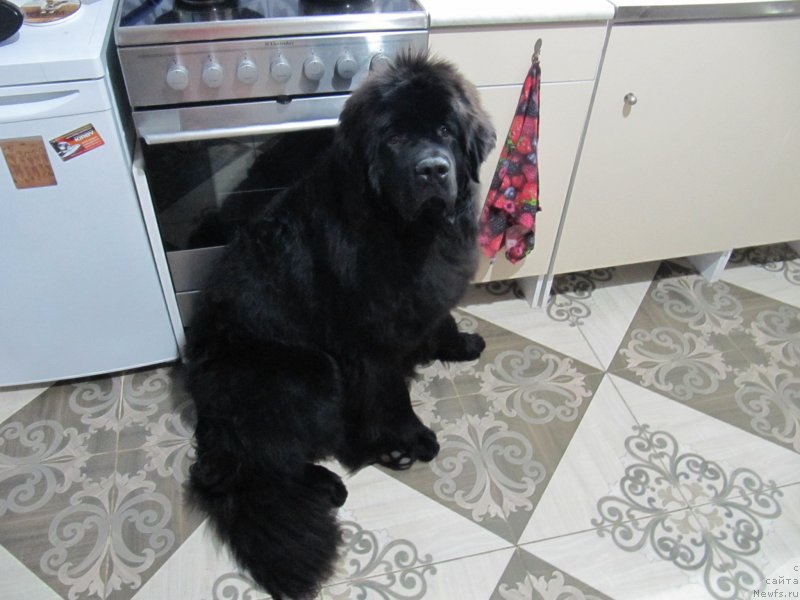 Фотография № 241855