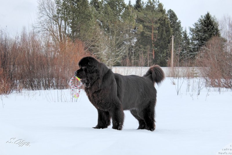 Фотография № 241913