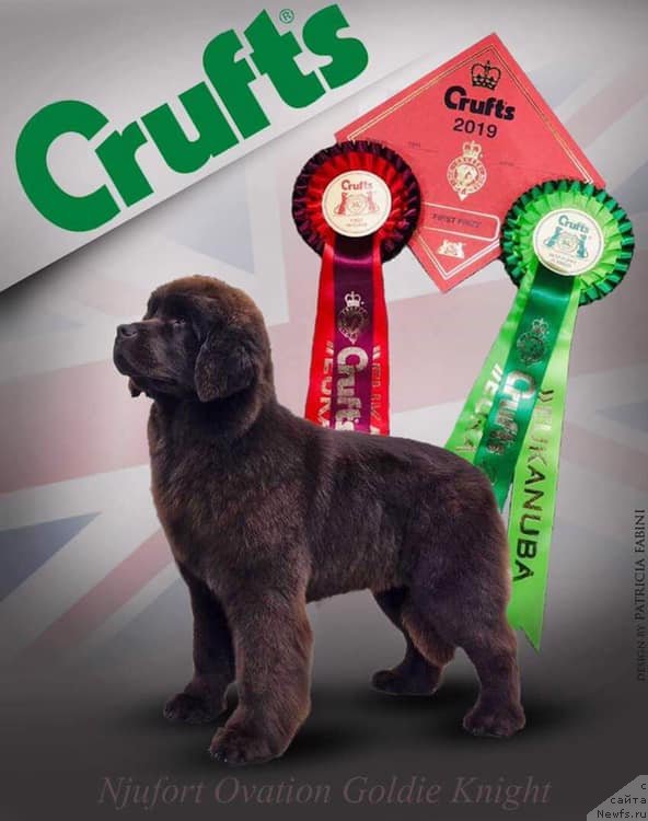 Фотография № 241917