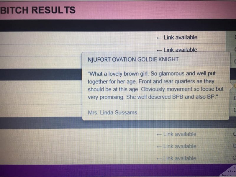 Фотография № 241920