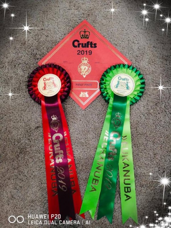 Фотография № 241923