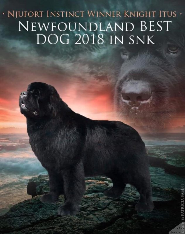 Фотография № 241926