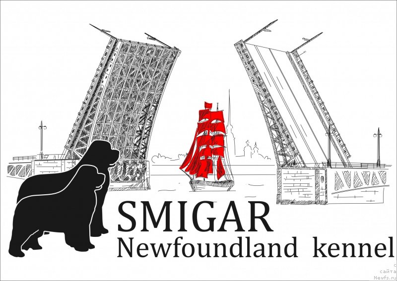 Фотография № 241947