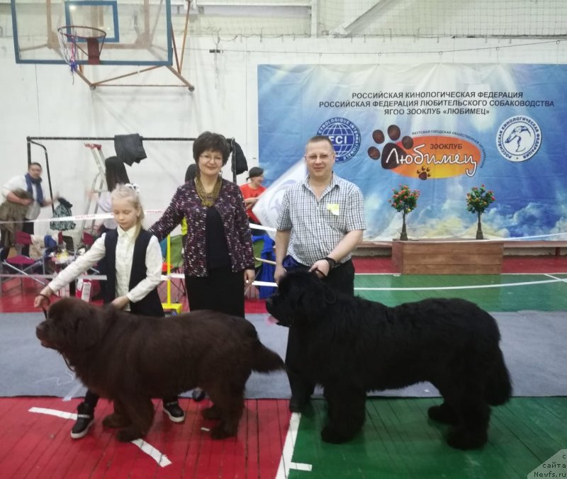 Фотография № 241955