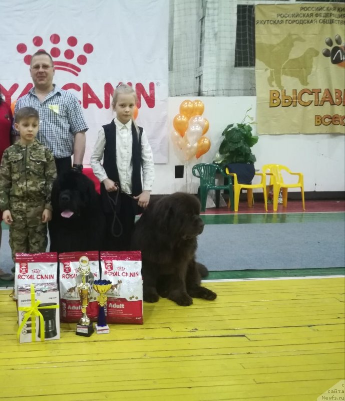 Фотография № 241957