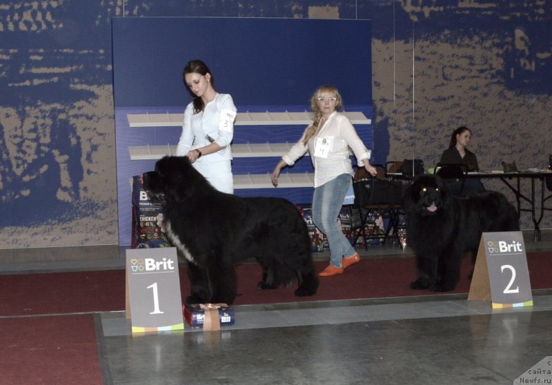 Фотография № 241990