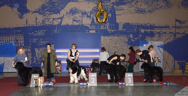 Фотография № 241994