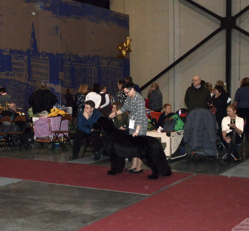 Фотография № 241995