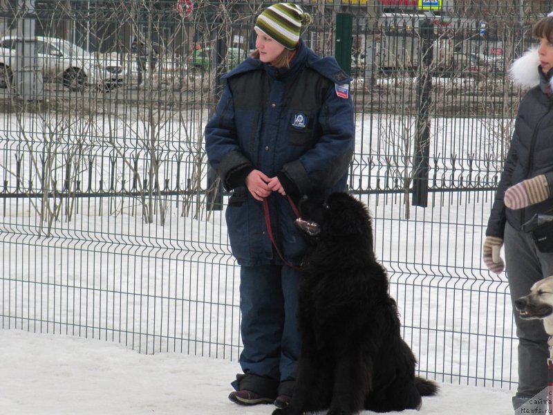 Фотография № 242010