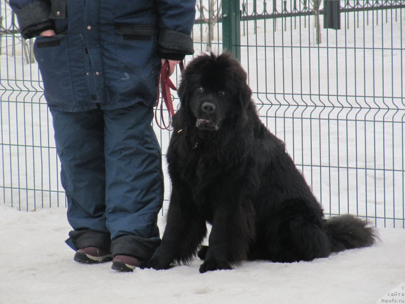 Фотография № 242011